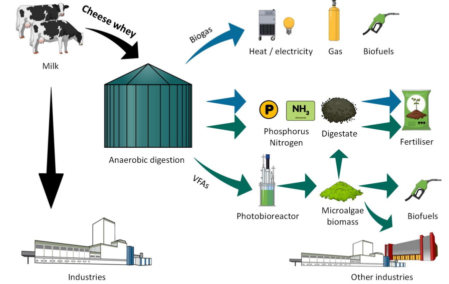 Scenarios for the full valorisation of cheese whey, adapted from Giulianetti de Almeida et al., 2021. (Figure 2)